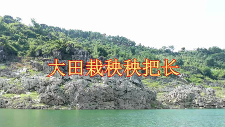 经典云南山歌小调大全